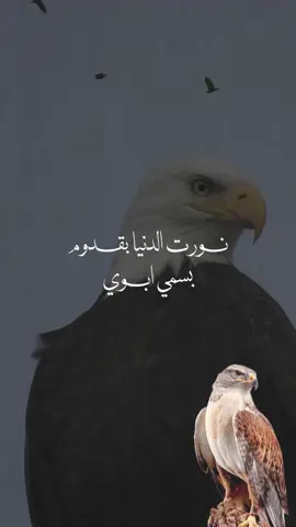 بشارة مولود اخوي بدون اسم  🩵🩵 #بشارة_مولود_اخوي_سمي_ابوي #بشارة_سمي_ابوي #تهنئة_مولود_اخوي #بشارة_مولود_اخوي #اكسبلور #بشارة_مولود_اخوي_بدون_حقوق #مولود_اخوي_بدون_اسم