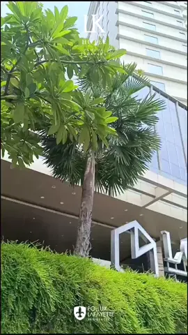 Staycation nyaman tanpa kehabisan cemilan hanya bisa di Louis Kienne Hotel Pemuda Semarang.  Omi Fair Price Mart hadir dekat dengan lobi hotel. Segala cemilan dan kebutuhan sehari hari bisa didapatkan di sini. #august  #mart #food #weekend #staycation #louiskienne  #louiskiennehotel  #louiskiennesemarang  #louiskiennepemuda  #lkpemuda  #semarang #hotelsemarang #semaranghits #ayokesemarang #liburan #happy #Summer #july #august