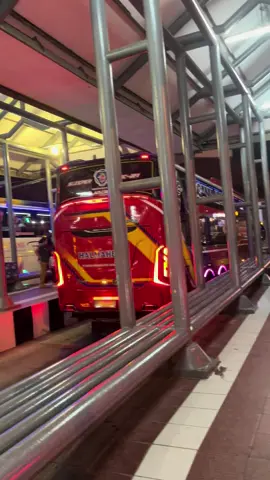 Pesona bus premium PKU  #sempatistar #fyp #terminalakappekanbaru #fyppppppppppppppppppppppp #busmania #makmur #putrapelangiperkasa #makmurhalmahera 