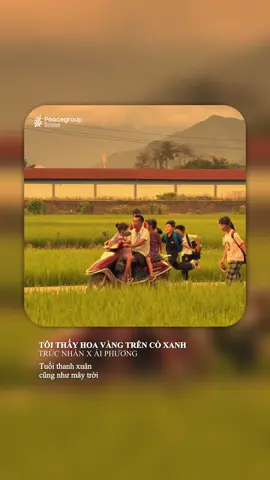 “Hoá ra thứ ta dùng cả tuổi trẻ để theo đuổi lại chính là thứ ngay từ đầu ta đã có..” 🌿 #peacegr #toithayhoavangtrencoxanh #trucnhan #aiphuong 