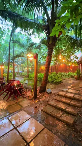 Ai biết ai vì đời cùng ngược xuôi chung lối mòn. #tieuphu #caphelongan #caphetieuphu #caphebenluc 