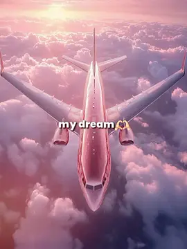 For those who gets it #pinkairplane