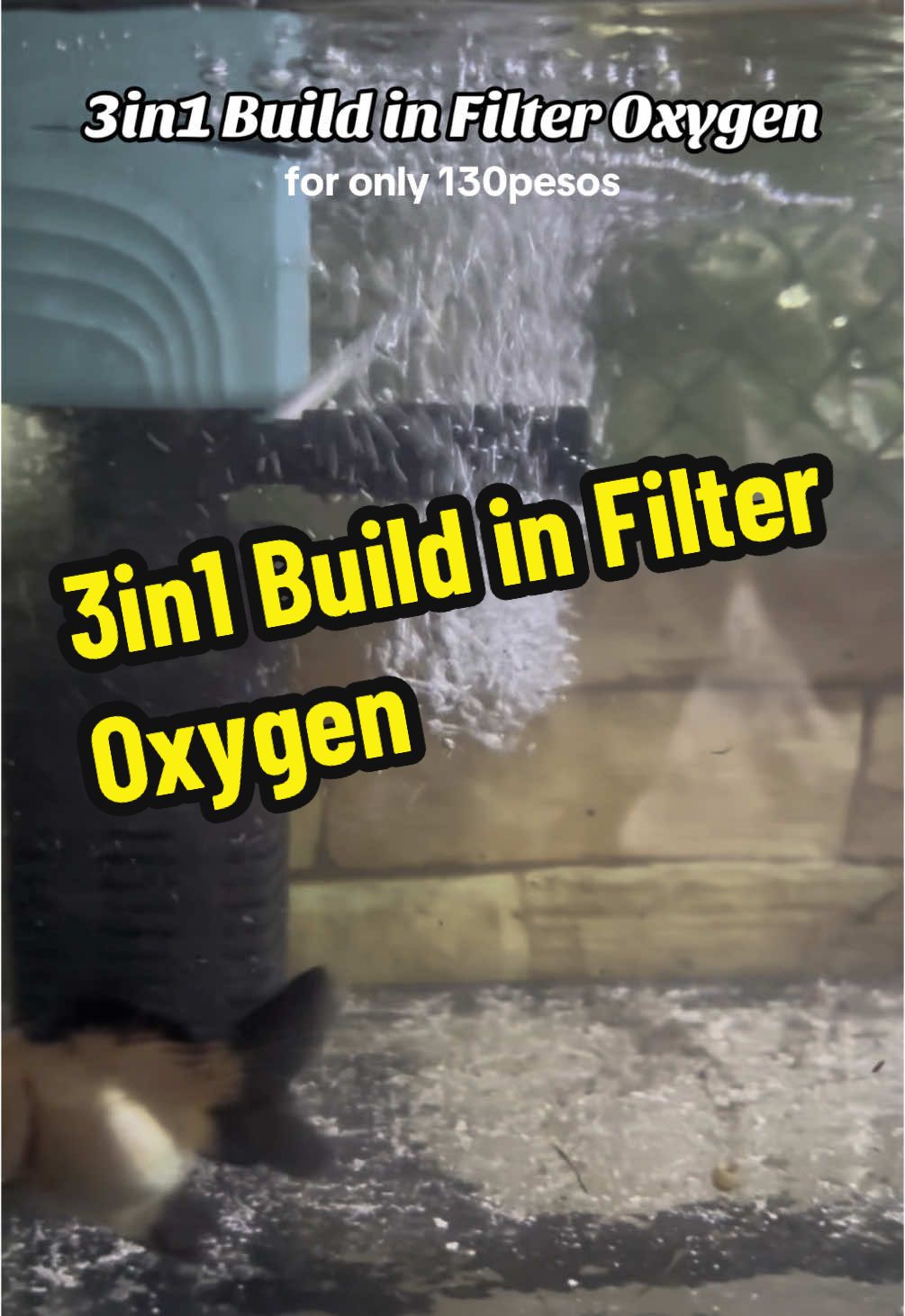 Para sa mga alaga niyong fisha ❤️ 