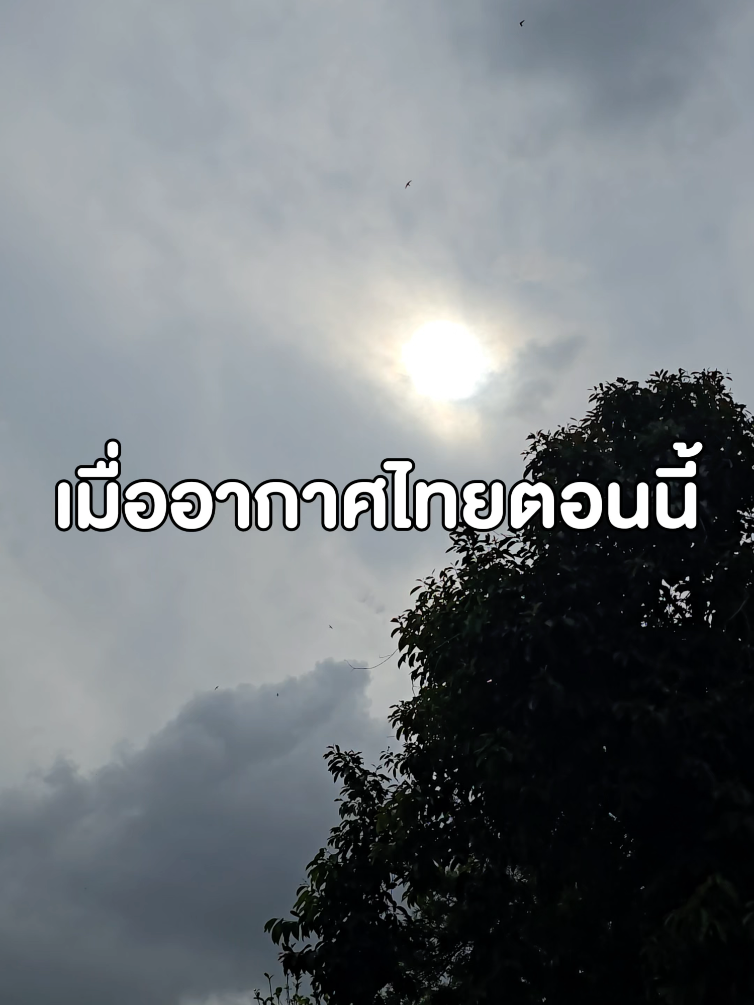 จะเอายังไงกับอากาศดีคะ!? ⛈️ ออกจากบ้านแดดจ้า พอเดินไป 5 นาทีฝนเท! หน้าเมคอัพเยิ้ม ผิวลอก แถมสิวจะขึ้นอีกแล้ว 😭 อยากลงกันแดดก็กลัวอุดตัน… แล้วผิวจะรอดยังไงล่ะ!?