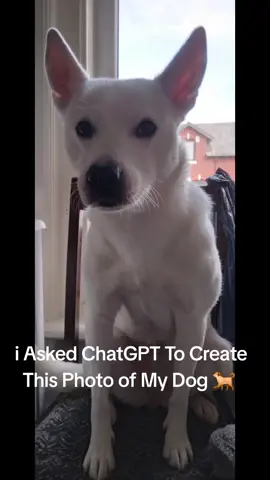 #chatG#ChatGPTTrend#dog #chatgpt #dogs  im in love 😍