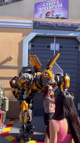 Lively Bumblebee #universalstudioshollywood #funny #bumblebee #universalstu #fyp 