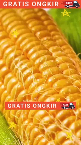 Dapatkan Benih Jagung Hari Ini DISKON 50% + GRATIS ONGKOS KIRIM #pertanian #benih #belanja #tanaman #pertanian