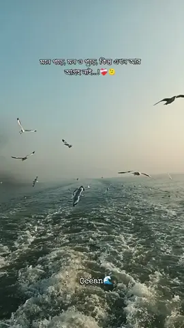 মনে পড়ে, মন ও পুড়ে, কিন্তু এখন আর আগ্রহ নাই...!❤️‍🩹🫠 #tiktok #foryou #highlight #fenian #feni #bangladesh🇧🇩 #qatar #fypシ゚viral #banglaoldsong 