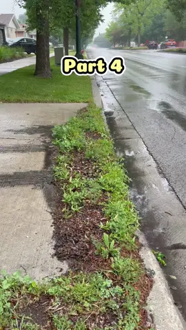 my sister-in-law called from her trip saying,please feed my dog. when i went to her house, i found her son, emaciated, unconscious in a foul-smelling room. netohimias.#reddit #reddit_tiktok #redditstorytime 