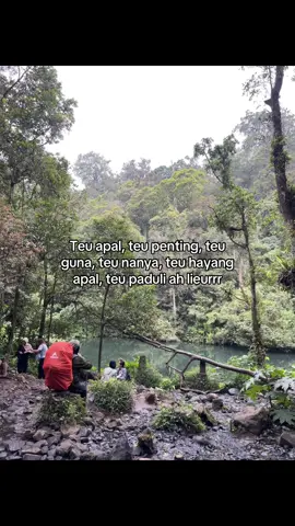 Cicing ker rarungsing, kmha mun urg nyerenteng sha nu rk nahan? #sunda #kata #katakata 