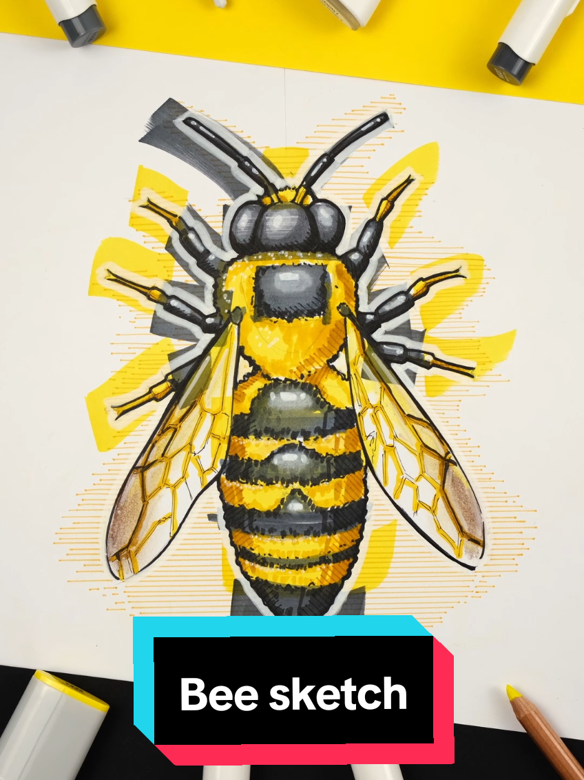 A little bee sketch 🐝 Prints are available on www.stevendegroot.com or link in my bio . . . #bee #idsketches #designsketch #industrialdesign #sketchingdaily #animal #designer #sketches #design #green #pencilsketch #dailysketch #sketchaday #productdesign #designer #productsketch #diseño #diseñoindustrial #kaweco #designskills #sketch #scribbles #animals #insect #idsketching #sketchzone #insects #markerdrawing #markersketch
