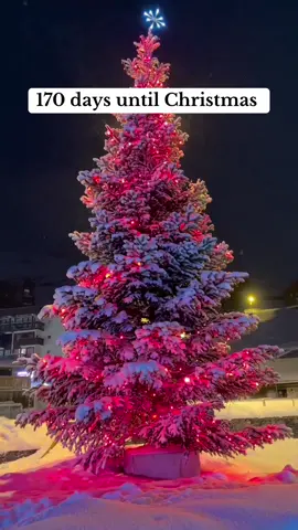 #christmastiktok #vibes #cozy #christmas #xmas #christmasdecor #christmascountdown #natale #navidad #bozenarodzenie #wintertime #fypageシ #dc #fyp 