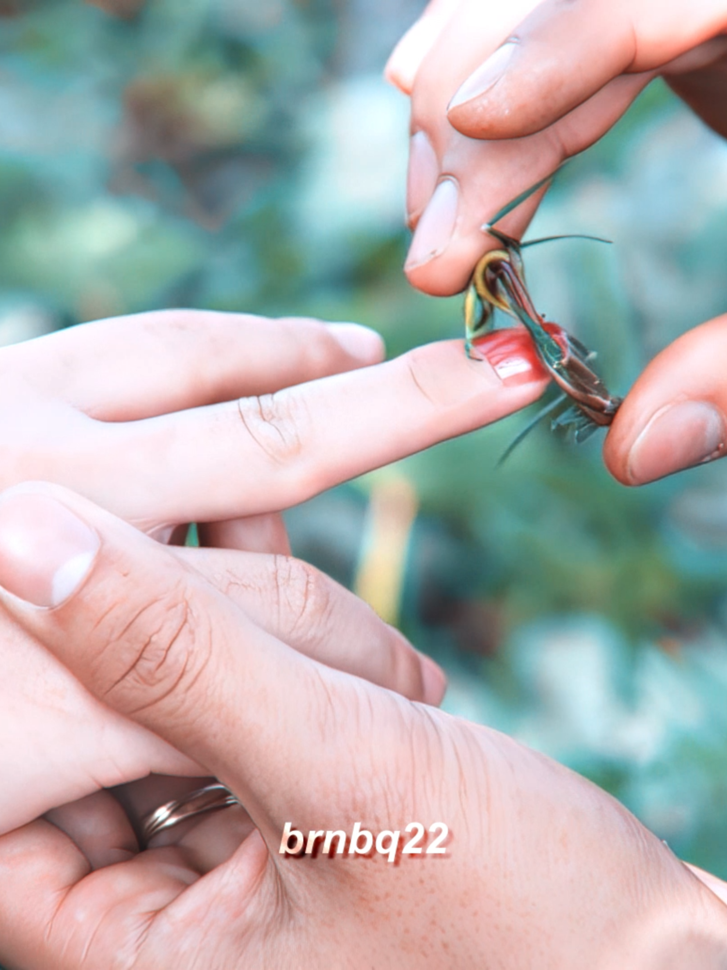 Chuyện Tình Thời Tận Thế - Kết Thúc Có Hậu #phd #phc #phuonghuuduong #vinhtienle #sangtienxu #anhcon #bacngot #teamtote #edit #xuhuong