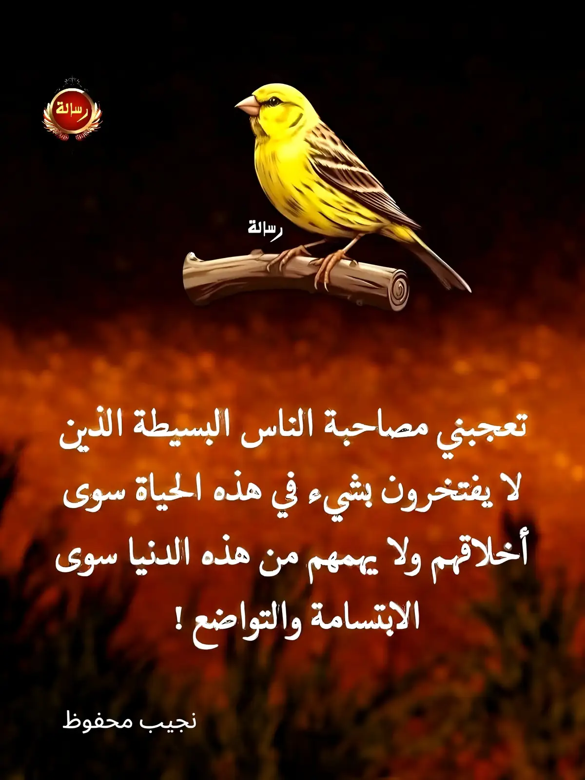 البساطة عنوانهم والأخلاق تاجهم #الناس_البسيطة #أخلاق_وتواضع #عِش_بابتسامة #لا_فخر_إلا_بالأخلاق #القلوب_الطيبة_رزق