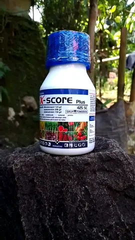 fungisida x-score plus 425 SC 250 ml untuk segala jenis tanaman - #SuniDahu  #fungisidascoreplus #fungisidapalingampuh #fungisidatanaman 
