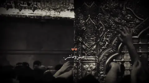 #كربلاء 
