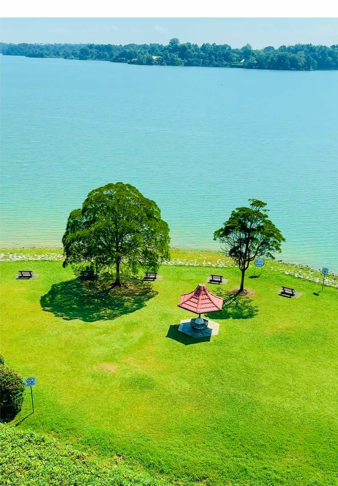 #singapore #fypシ゚ #vairal 