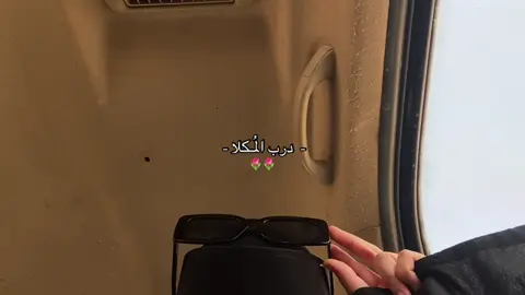 #المكلا#حضرموت#اكسبلورexplore 