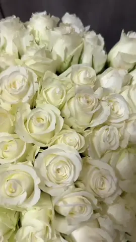 #ծաղիկներ #rose #flowers #fyp 