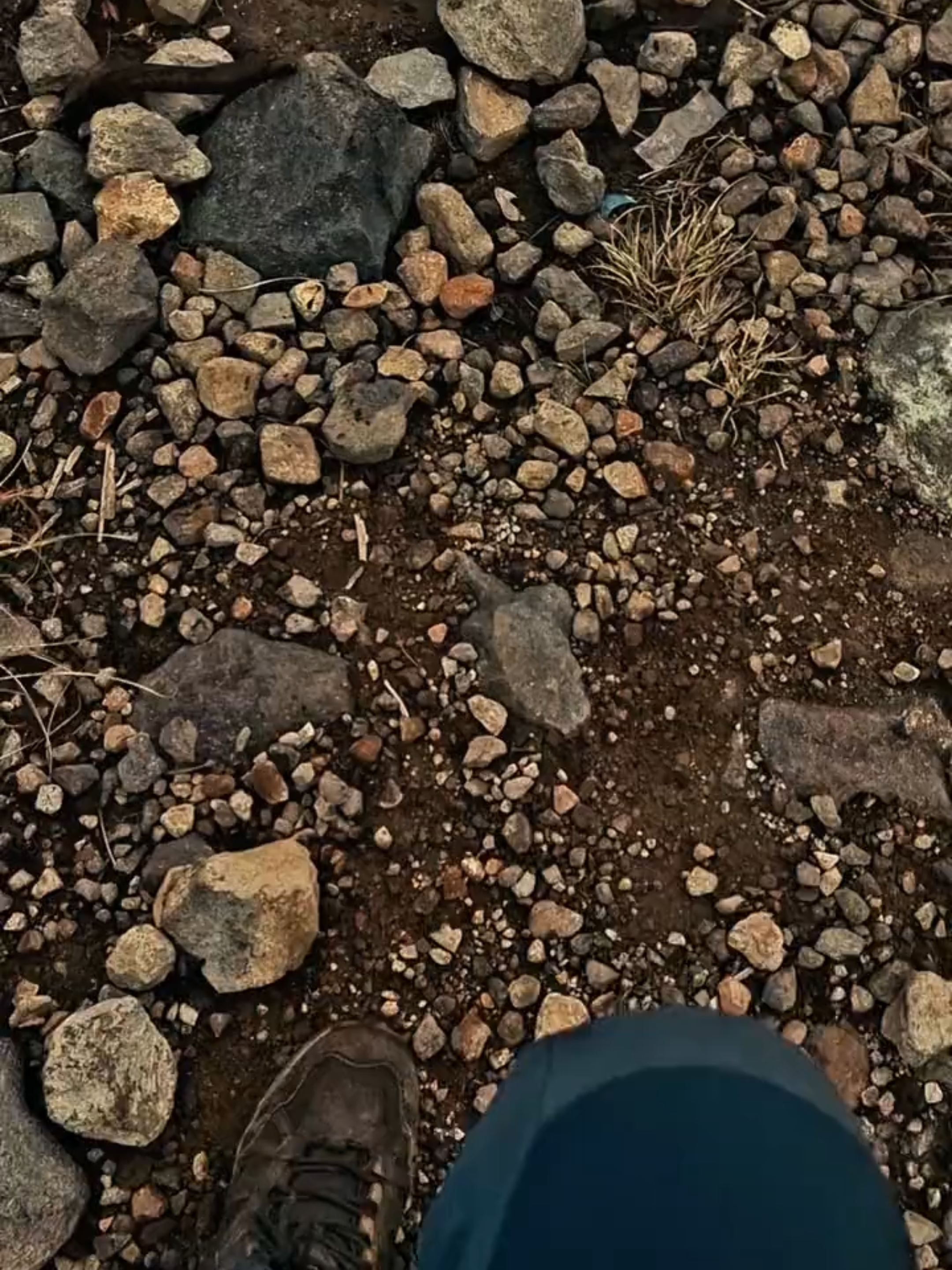 Fakta baru: Sindoro via Watu Lunyu lebih berat dibanding Sindoro via Kledung #pendakigunung #pendaki #sindoro #sindoro3153mdpl #pendakifomo #fyp