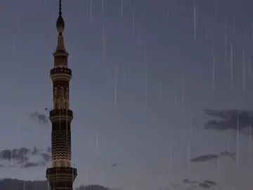 حساب بدون موسيقى 🤍🌿 #الفكر_يا_انسان_لو_أطلقه #راحة_نفسيه🖤🎧 #الريتش_في_زمه_الله💔😣 #ɴᴏ_ᴍᴜꜱɪᴄ 