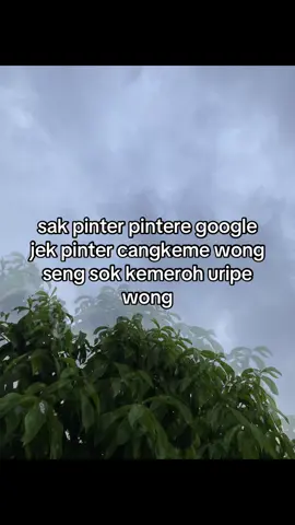 🤪🤣#fyp #foryoupage #jowopride #wonogiri24jam #zysbca 