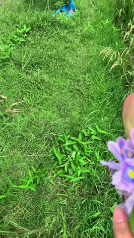 យកអត់😄❤️
