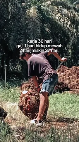 #masukberandafyp #kulisawit #fypシ @panggil saja icang 