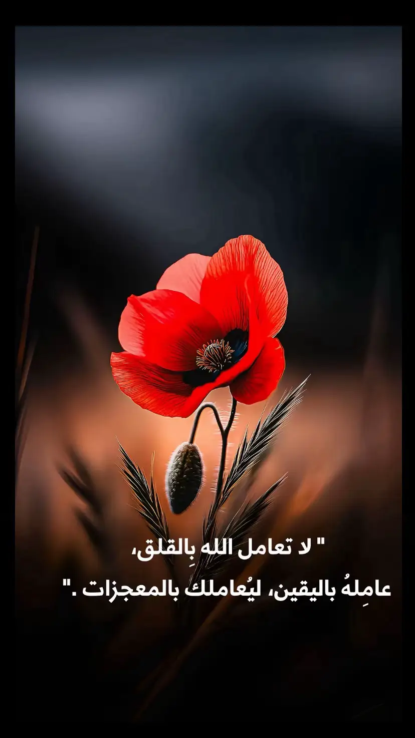 #القارئ #علي نمير#قران_كريم_بصوت_جميل  #حكم #عبارات 