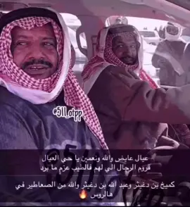 #كنق_الصفر_كميخ_بن_دغيثر🥇🥇🔥🔥 #كنق_الصفر_عبدالله_بن_دغيثر🥇🔥 #511العتيبي511 