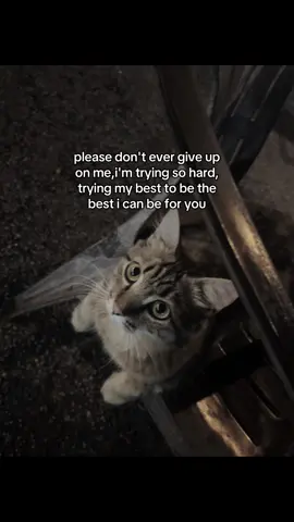 hmm                                     #foryoupage 