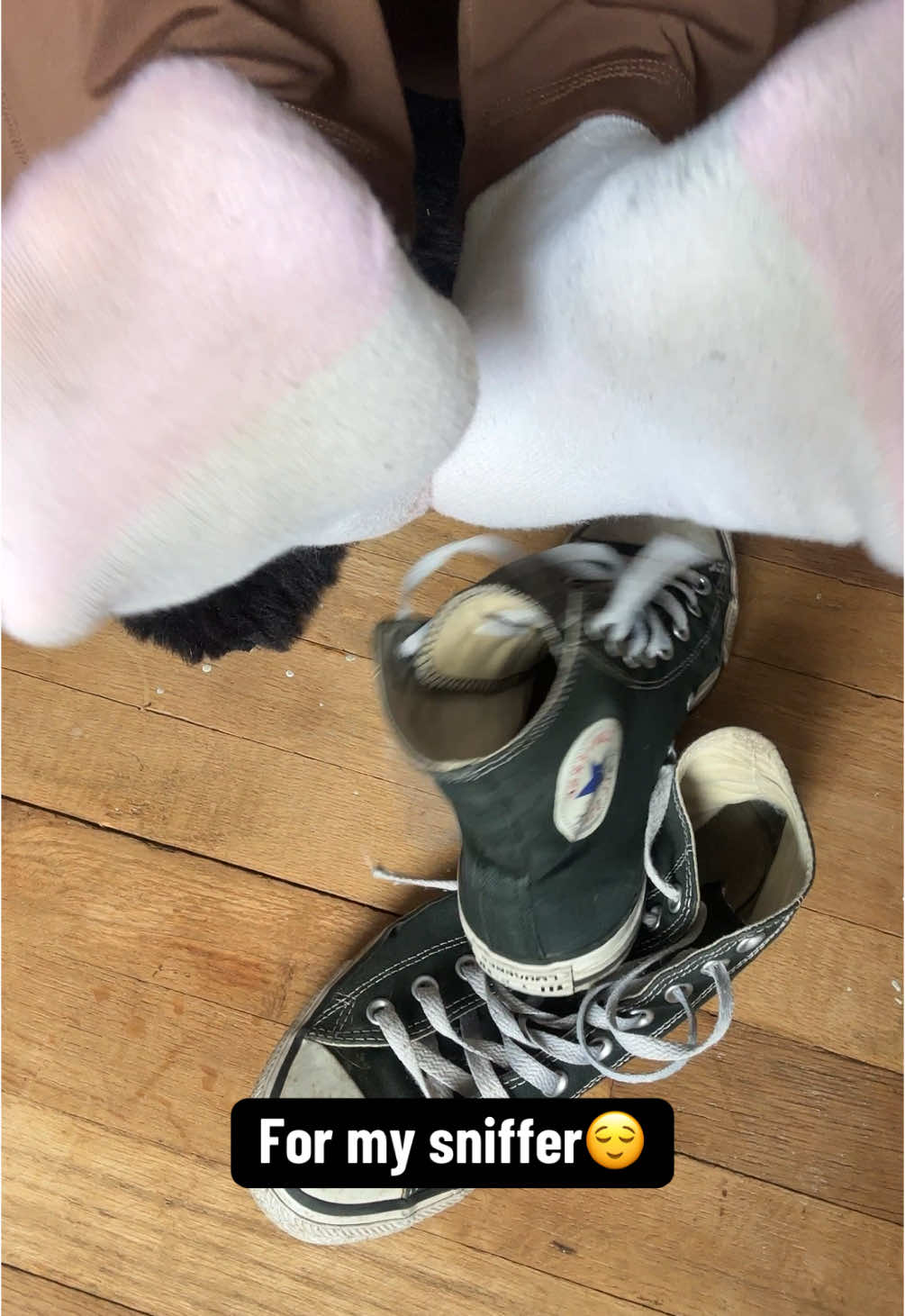 Package delivery 📦  . . #feetcare #soles #bigfeet #socksfor1 