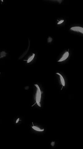 #CapCut #fuppp #fupシ #########fupシ 