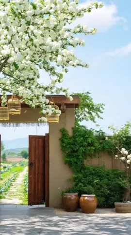 #คลิปAI  #บ้านสวน 