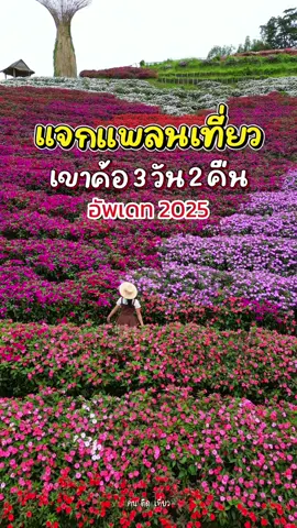 ⛰️แจกแพลนเที่ยว เขาค้อ 3 วัน 2 คืน เที่ยว กิน พัก เช็กอิน สถานที่ยอดฮิต 2025🍃 เขาค้อหน้าฝนบอกเลยฮีลใจสุดๆ ที่พักราคาถูก อากาศดี ป่าเขาเขียวขจี มีหมอกปกคลุมเกือบตลอดทั้งวัน คนเที่ยวน้อยไม่แออัด ยิ่งถ้าได้จิบกาแฟอุ่นๆ ได้กินหมูกระทะหรือชาบูร้อนๆ ชมวิวภูเขาเคล้าสายหมอก บอกเลยฟินมาก ปล่อยใจชิลๆ ให้ธรรมชาติบำบัด🌿 📌พิกัดเช็กอินในทริปนี้ 1.สะพานห้วยตอง 2.วัดพระธาตุผาซ่อนแก้ว 3.ที่พักภูแสนดาวรีสอร์ท 4.ม่อนซ่อนแก้วคาเฟ่ 5.สวนดอกไม้เขาค้อฟลาวเวอร์เทอเรส 6.ร้านขนมจีนห้อยขาลุงน้อย 7.ที่พัก The Atmosphere Khaokho 8.อุทยานแห่งชาติทุ่งแสลงหลวง 9.น้ำตกศรีดิษฐ์ หน้าฝนที่เขาค้อไม่ใช่ฤดูที่ต้องหลีกเลี่ยง แต่เป็นฤดูที่ควรออกเดินทาง เพราะที่นี่..มีเสน่ห์ที่สุดในวันที่ฝนพรำ🌧️ #เขาค้อ2025 #เขาค้อ #เขาค้อฤดูฝน #เที่ยวเขาค้อ #รีวิวเขาค้อ #ฅนติดเที่ยว