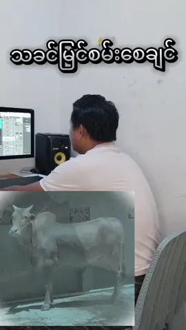 သခင်မြင်စမ်းစေချင်#aungsoemoe #aungsoemoe #ကမ္ဘာသူကမ္ဘာသားအားလုံးဘေးကင်းပါစေ 