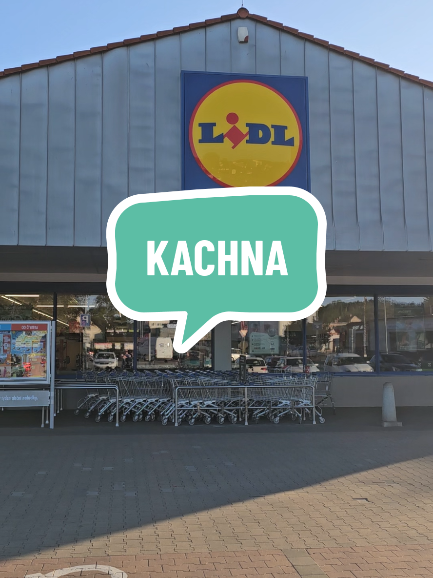 #kachna #vtip #haha #czech 