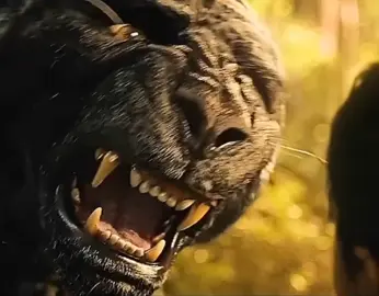 Aowsom movie clips  #movie #cinematic #shorts #videoviral #viralvideo #clips #trend #hollywood #film #filme #video #lion 