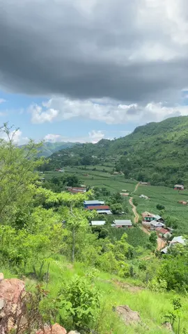 #gulmi #gaughar_🏡🏡 #daughagulmi💗 #foryoupage_tik_tok 