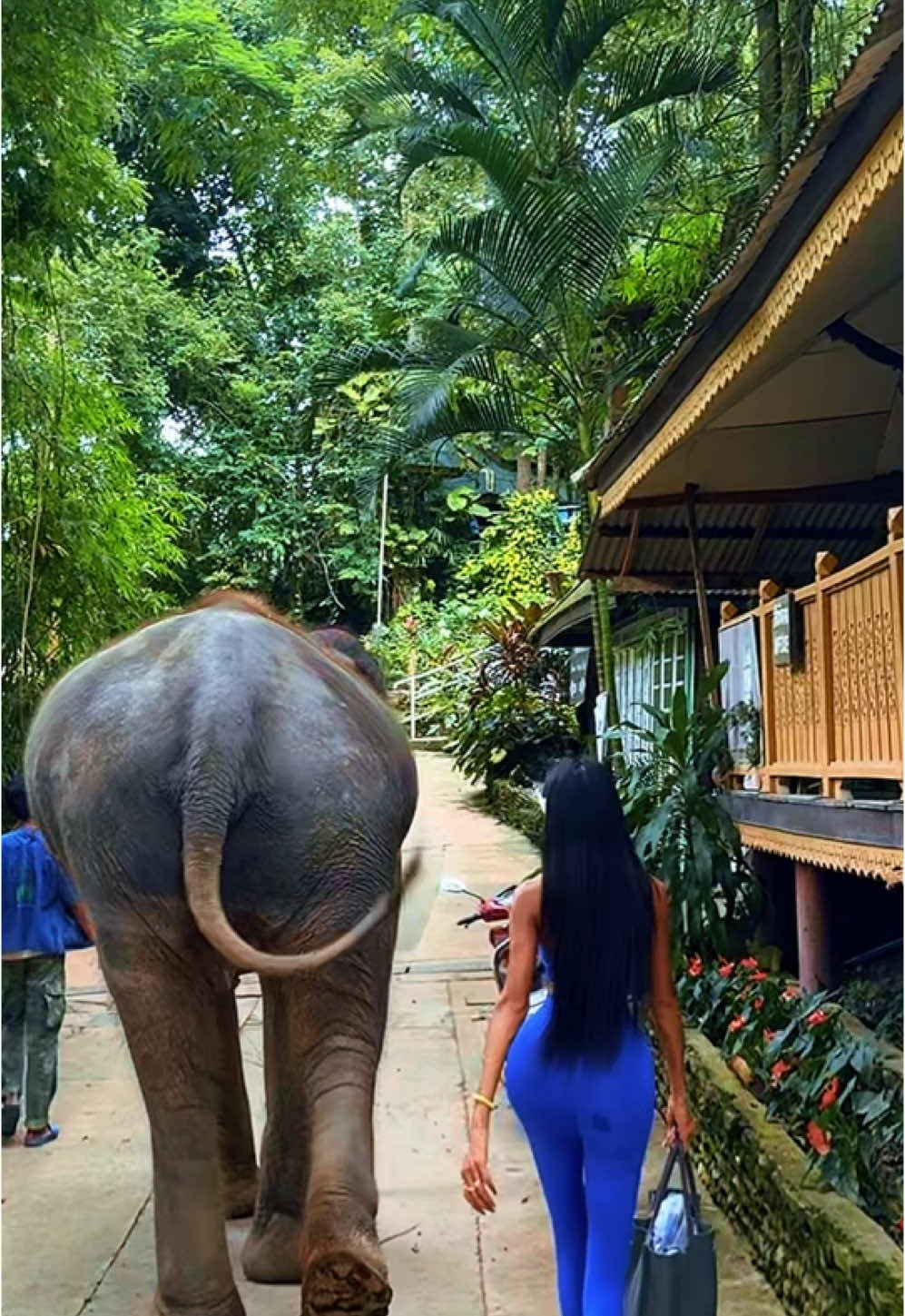 ช้าง ของฉัน 💙 