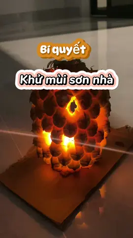 Bí quyết khử mùi hôi sơn nhà mới #khumuisonnha #hanhtrinhxaynha #kinhnghiemxaynha #trending #tuiminhxaynha 