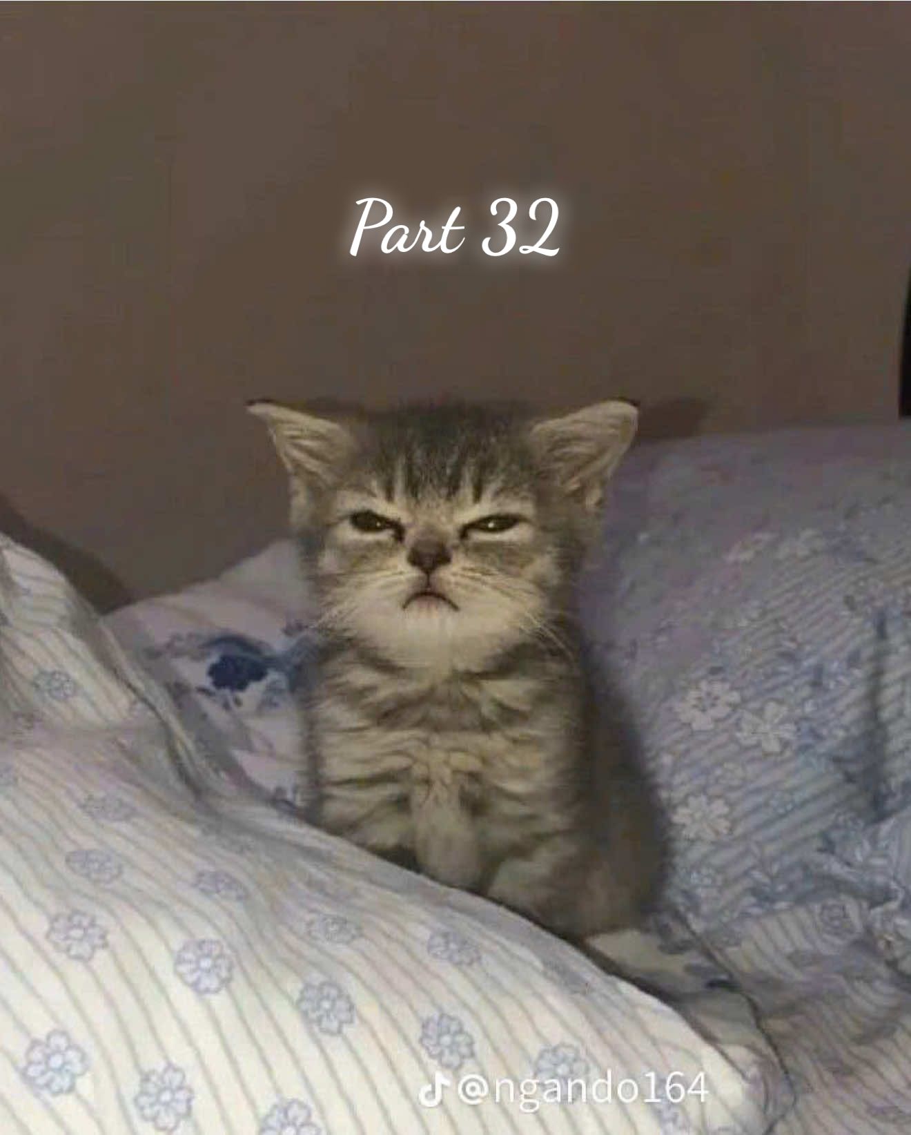 Thích cái cách “cổ” sĩ😌😌😌#LinhvaThu #fypシ゚ #xuhuong #viral #loveyou #lovestory @舒💜 @𝓛𝔂𝓷🏳️‍🌈 