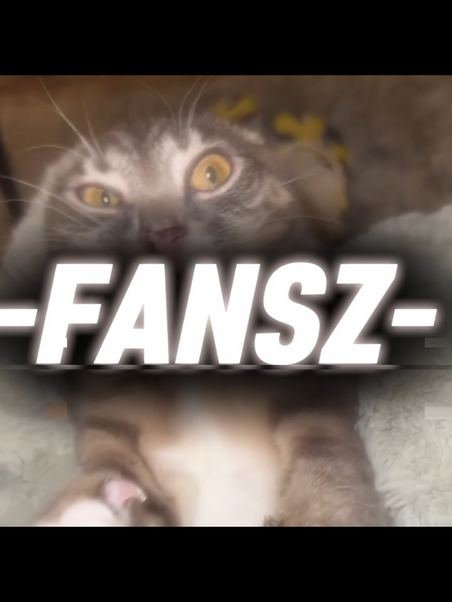 CAT EDIT🦅🔥| The most freakiest cat | (I can't stop making edit of it) |                                    .                                                          .                                                             .                                                              #edit #cat #catedit #uni #rigby #uni #floppa #fyp #viral 