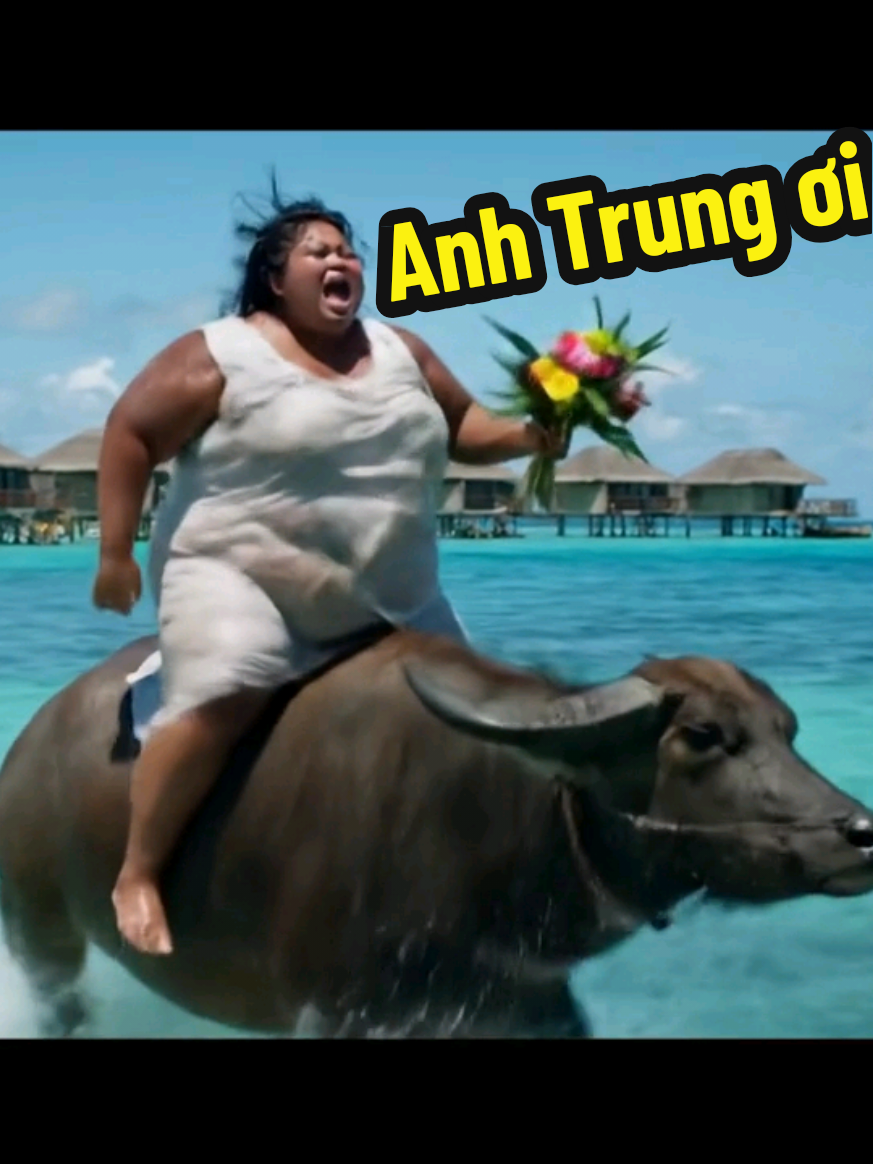 Anh trung ơi anh ở đâu #phitrautimnguoiyeu #shortvideo #ai #AI #shorts #xuhuong #xuhuongtiktok #phitrau #veo #veo3 