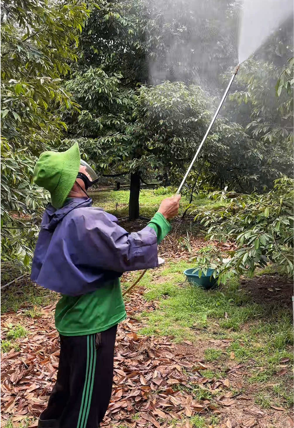 Em mà biết đến mặt nạ này là em mua từ sớm cho ba rồi, dùng làm vườn, hay thợ hàn… cũng rất tiện nữa #matnachongdoc #matnachongbui #matna #kinhchongbui #trinhmom95 @Trinh Móm  @Trinh Móm  @Trinh Móm 