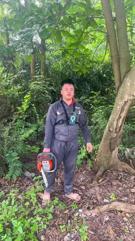 Em cưa k được chuyên nghiệp lắm nhưng máy cưa khoẻ cũng oki 😅#dienmaydanang69 #dienmaytranthanh #maycuaxich #viral #xuhuong 