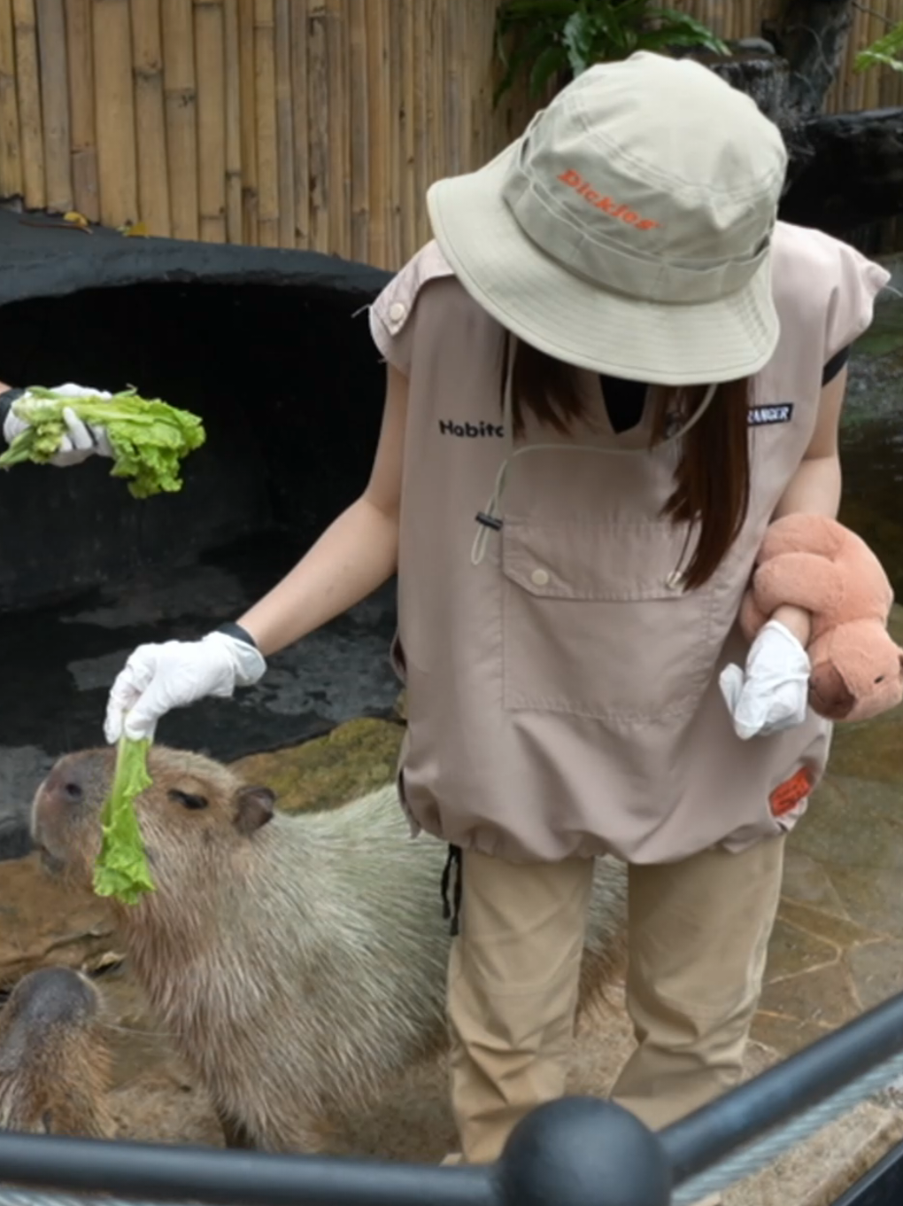 vlog ketemu kapibaya di yt aku🦫