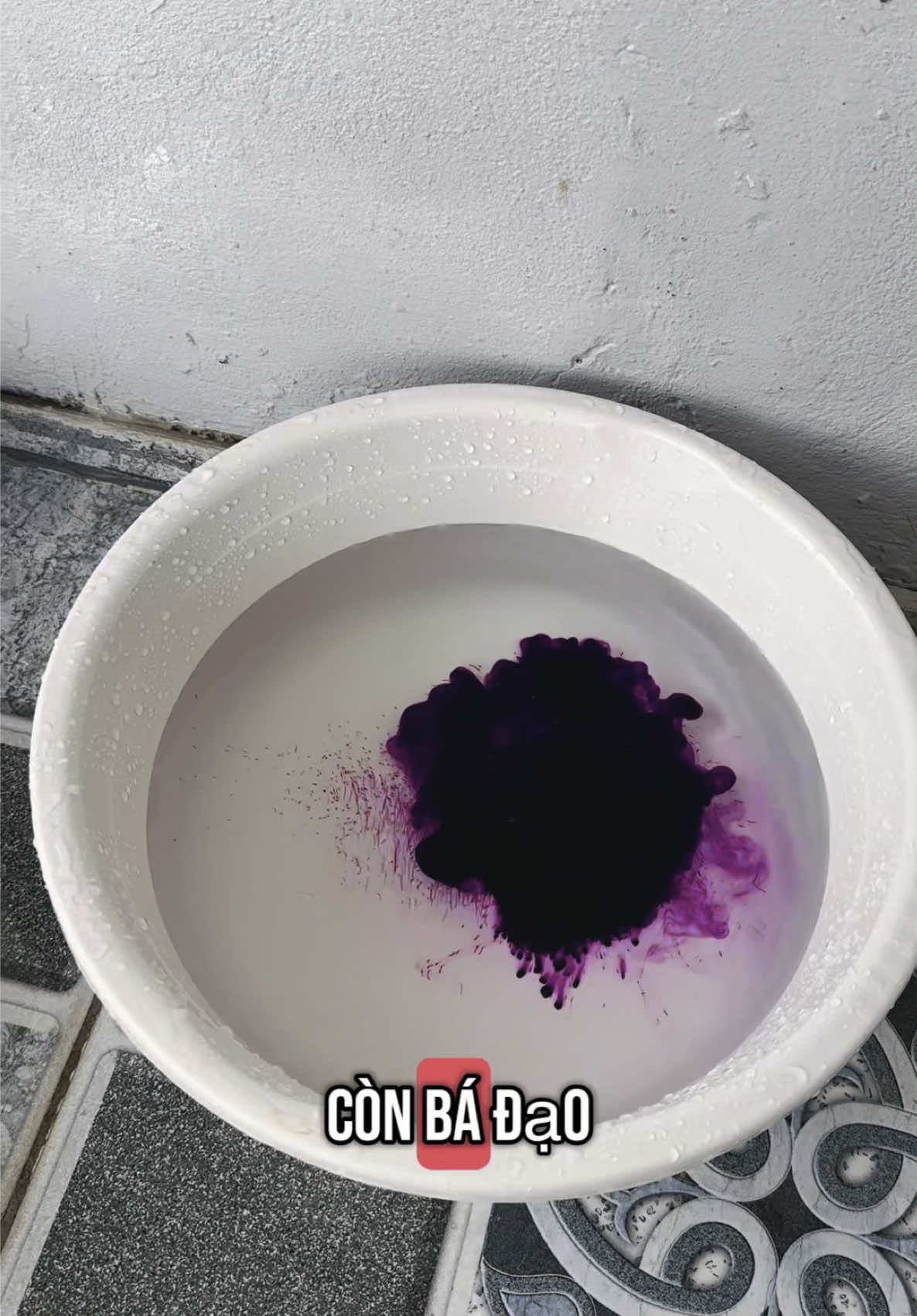 Thuốc Tím KMnO4 - 99% Nguyên Chất ! Các Bác Tham Khảo Dưới Giỏ Hàng Nhé. #DPC #giaiphapchannuoi #khukhuanchuongtrai #xulynuocnuoitrongthuysan 