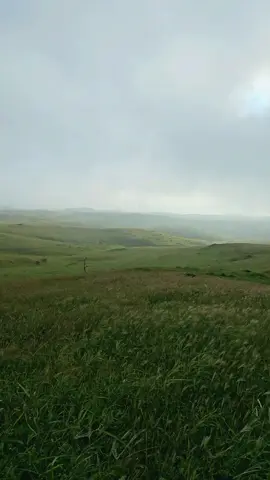 #عبدالله_بن_عون #راسليني يلهبوب الجنوبيه#جبل حجيف#صلاله #ظفار #viral #fyp 