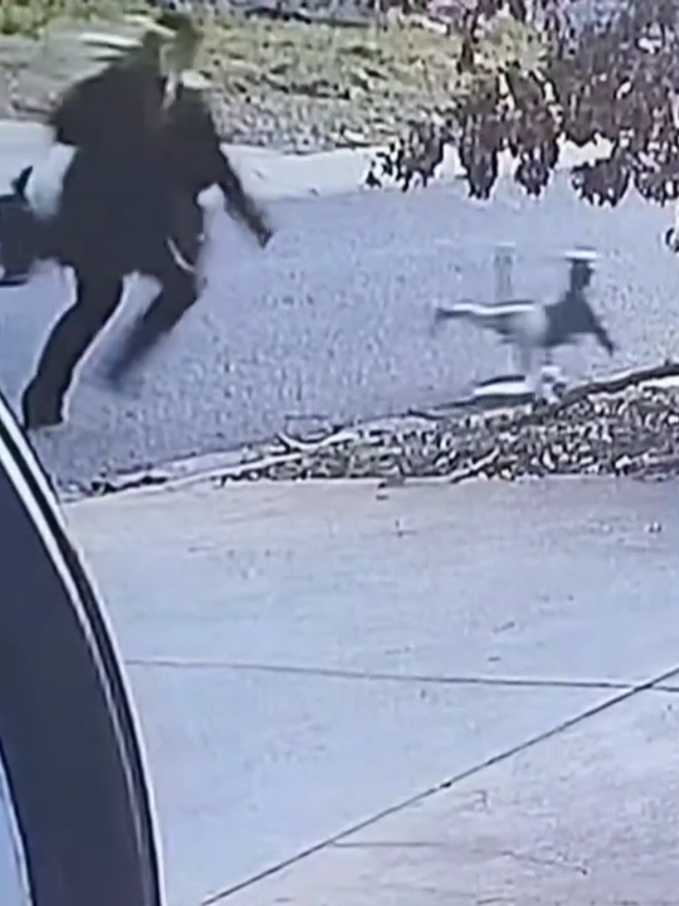 #gracioso #funnyvideo #Running #wtf #omg 